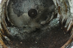 IMG20220127161938